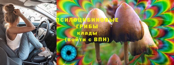 кристаллы Вяземский