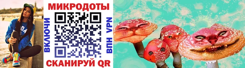 Галлюциногенные грибы Magic Shrooms  кракен ССЫЛКА  Дивногорск  продажа наркотиков 