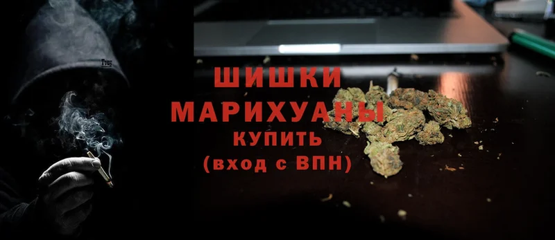 купить наркотик  Дивногорск  Шишки марихуана Amnesia 