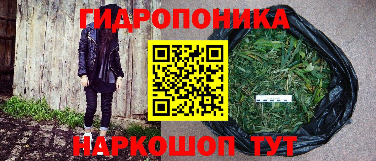 Бошки Шишки марихуана  Вход с VPN  Шишки марихуана White Widow  Дивногорск 